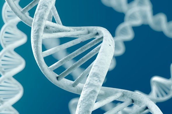 Are Psychic Abilities Inherited?